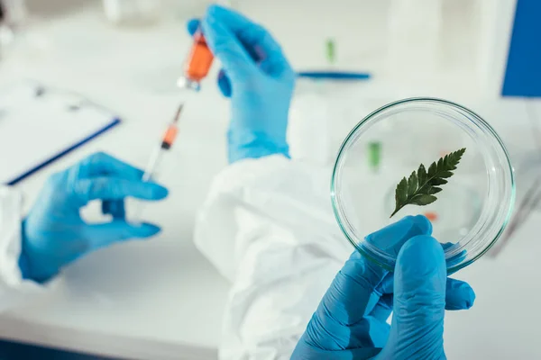 Cropped view of biochemist holding petri dish with green leaf near colleague taking medicine with syringe — Stock Photo