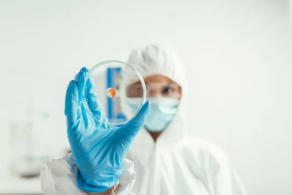 Foco seletivo do bioquímico em terno hazmat segurando placa de Petri com biomaterial — Fotografia de Stock