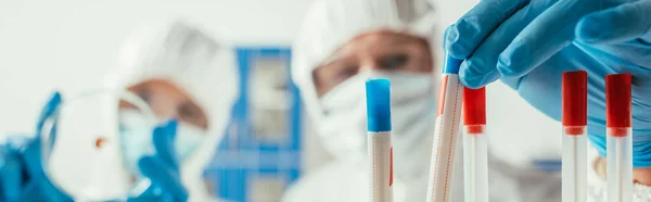 Foco seletivo do bioquímico tomando tubo de ensaio perto colega segurando placa de Petri, tiro panorâmico — Fotografia de Stock