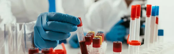 Cropped view of biochemist taking test tube with blood sample near colleague, panoramic shot — Stock Photo