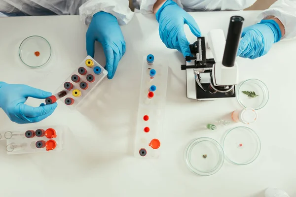 Cropped view of biochemists near test tubes, petri dishes and microscope, top view — Stock Photo