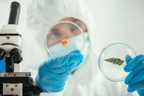Selective focus of biochemist holding petri dishes with green leaf and biomaterial near microscope — Stock Photo