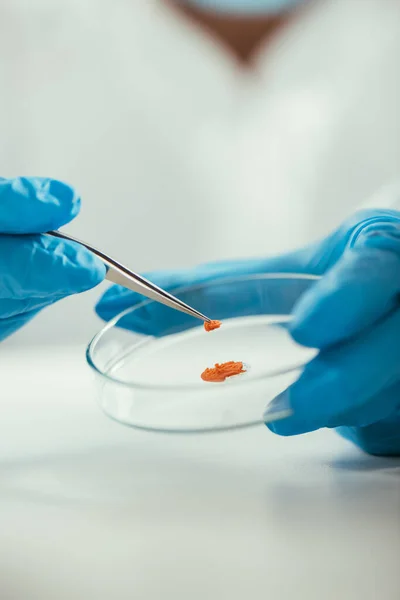 Cropped view of biochemist taking biomaterial from petri dish with tweezers — Stock Photo