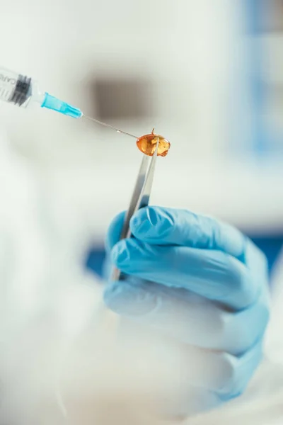 Cropped view of biochemist holding making injection to capsule — Stock Photo