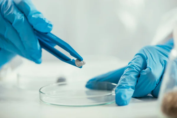 Vista cortada de bioquímico segurando pequena pedra com pinças perto de placa de petri — Fotografia de Stock