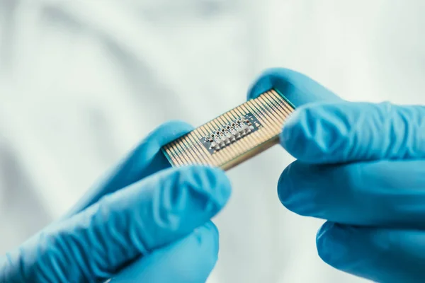 Vista recortada del ingeniero en guantes de goma que sostiene el microchip de la computadora - foto de stock