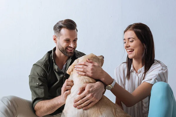 Alegre pareja jugando con golden retriever sobre fondo gris - foto de stock