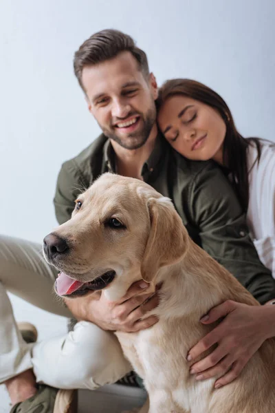 Selective focus of cute golden retriever sitting near positive young couple isolated on grey — Stock Photo