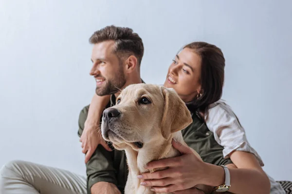 Selective focus of smiling woman petting golden retriever and embracing boyfriend isolated on grey — Stock Photo