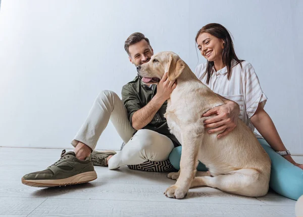 Coppia sorridente seduta sul pavimento e accarezzando golden retriever su sfondo grigio — Foto stock