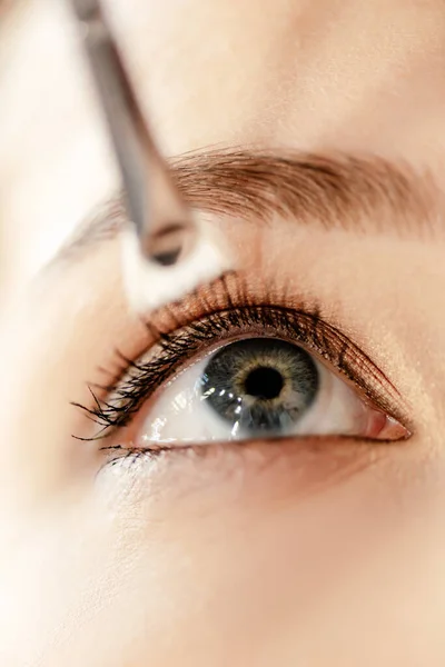 Close up of cosmetic brush near eyebrow of model — Stock Photo