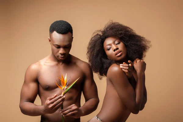 Sexy naked african american couple posing with Strelitzia flower on beige — Stock Photo
