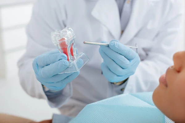 Vista ritagliata del dentista che tiene lo strumento dentale modello di dente pulito e paziente afro-americano — Foto stock