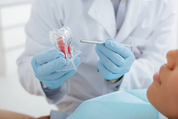 Visão recortada de dentista segurando instrumento dentário modelo de dente puro e paciente afro-americano — Fotografia de Stock