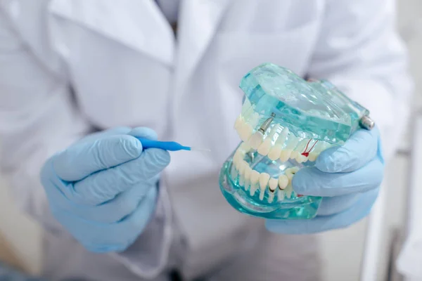 Vista cortada de médico segurando escova de limpeza dentária inter perto modelo de dentes — Fotografia de Stock