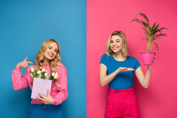 Mulheres loiras sorridentes apontando no buquê e planta em fundo rosa e azul — Fotografia de Stock
