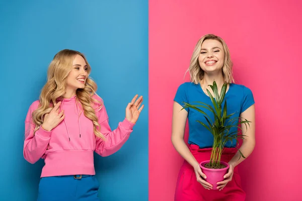 Sorridente ragazza bionda guardando allegra sorella che tiene pianta su sfondo rosa e blu — Foto stock