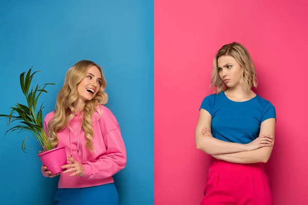 Mujer rubia ofendida mirando a la hermana sonriente con planta sobre fondo rosa y azul - foto de stock