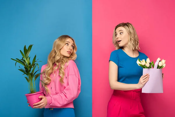 Blondes Mädchen mit Pflanze sieht Schwester mit Strauß auf rosa und blauem Hintergrund an — Stockfoto