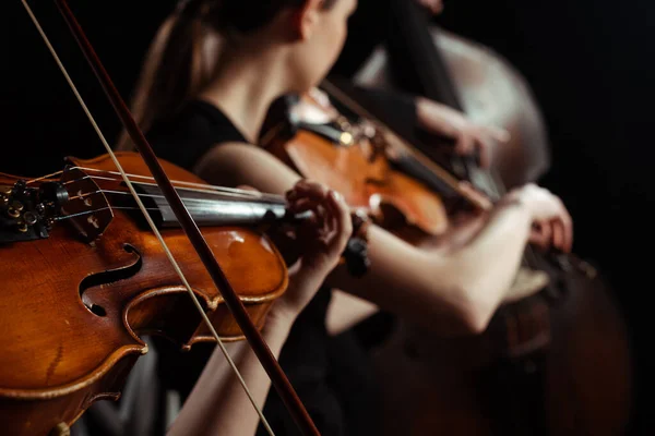 Обрезанный взгляд на женщин-профессиональных музыкантов, играющих на скрипках на темной сцене, избирательный фокус — стоковое фото