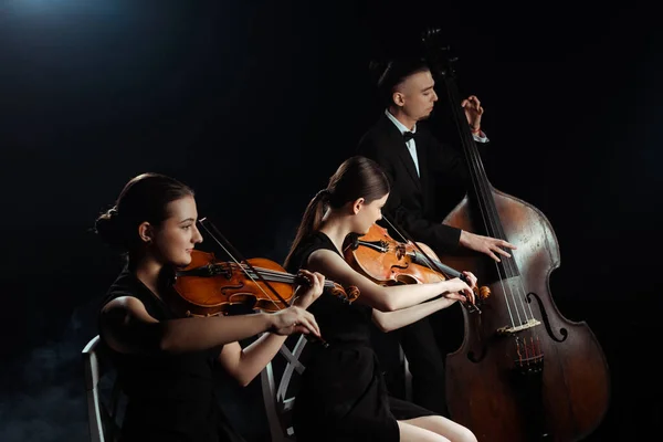 Musiciens professionnels jouant sur contrebasse et violons isolés sur noir — Photo de stock