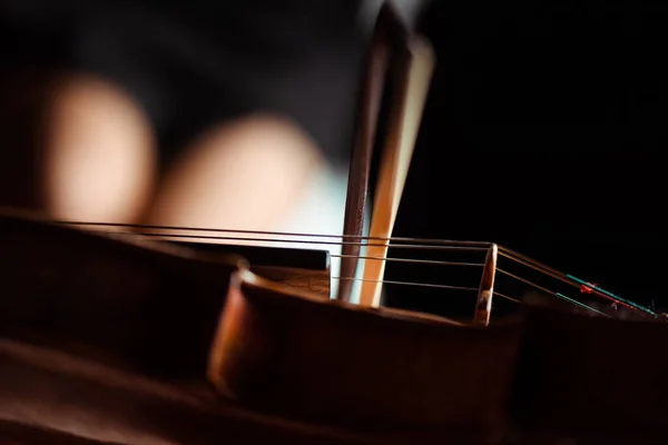 Крупный план профессиональной скрипки и лука, избирательный фокус — стоковое фото