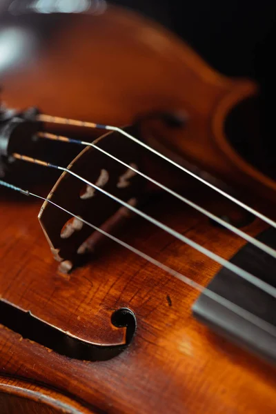 Primer plano del violín profesional, enfoque selectivo - foto de stock