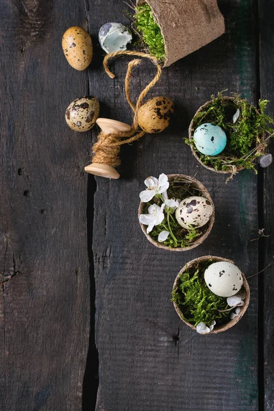 Colorful Easter quail eggs — Stock Photo, Image