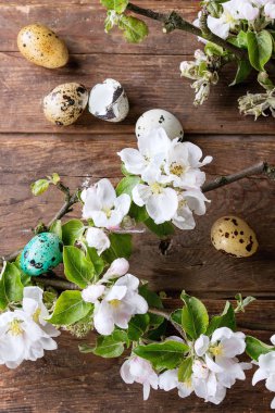 renkli Paskalya bıldırcın yumurtası