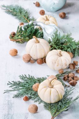 Beyaz dekoratif kabaklar