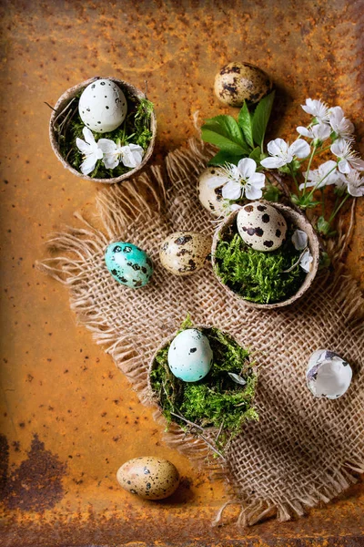 Colorful Easter quail eggs — Stock Photo, Image