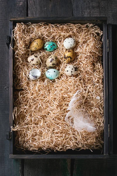 Colorful Easter quail eggs — Stock Photo, Image