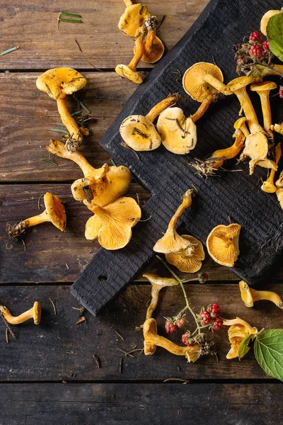 Forrest hanenkam paddestoelen — Stockfoto