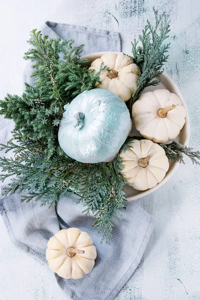 White decorative pumpkins — Stock Photo, Image