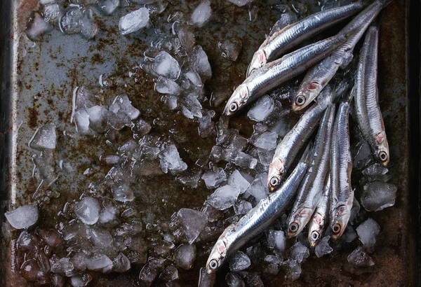 Сирі свіжі анчоуси риби — стокове фото
