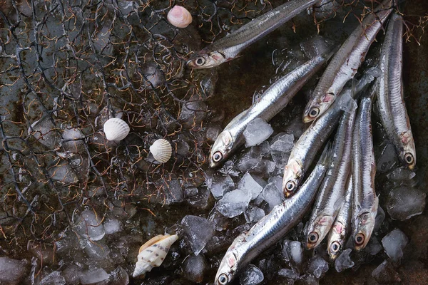 Anchoas frescas crudas pescados — Foto de Stock