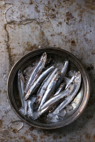 Raw fresh anchovies fishes — Stock Photo, Image