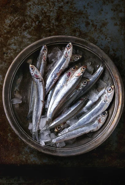 Raw fresh anchovies fishes — Stock Photo, Image