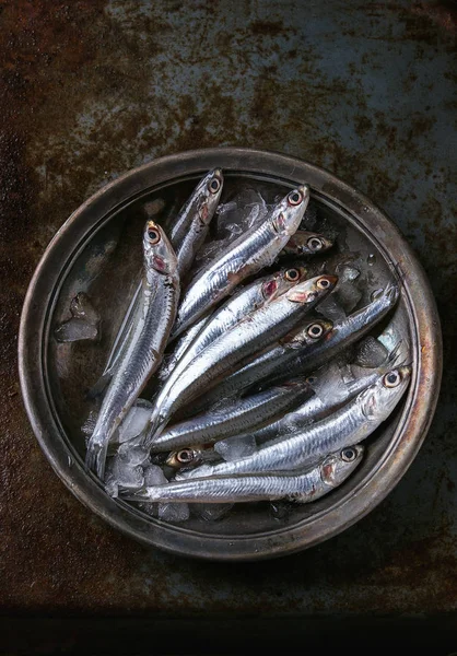 Raw fresh anchovies fishes — Stock Photo, Image