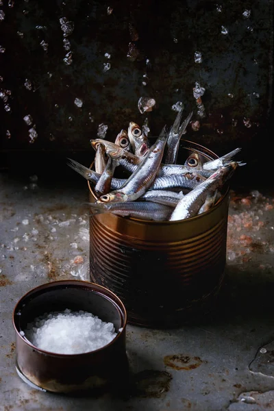 Anchoas frescas crudas pescados — Foto de Stock