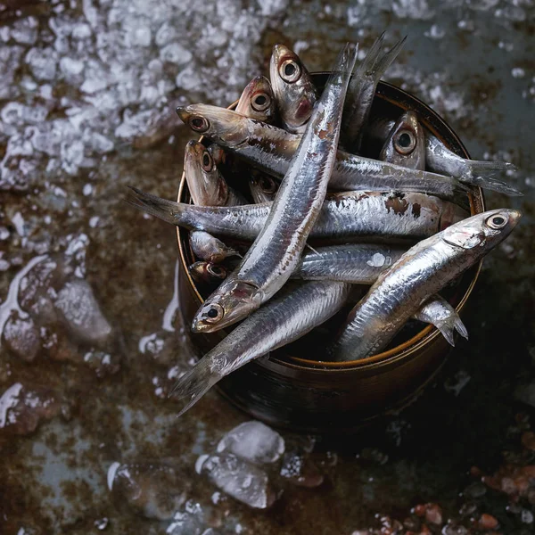 Anchoas frescas crudas pescados — Foto de Stock