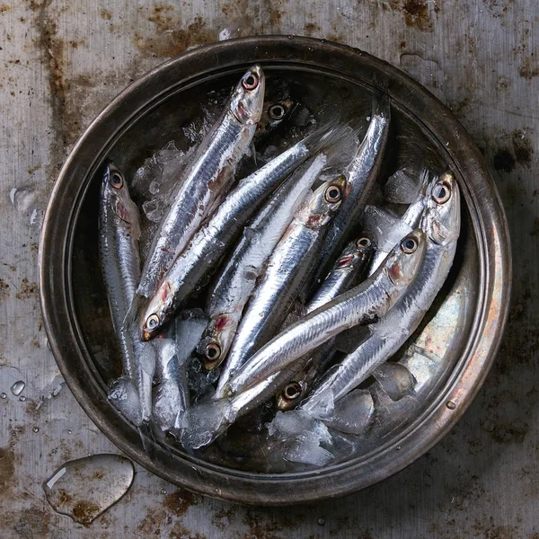 Raw fresh anchovies fishes — Stock Photo, Image