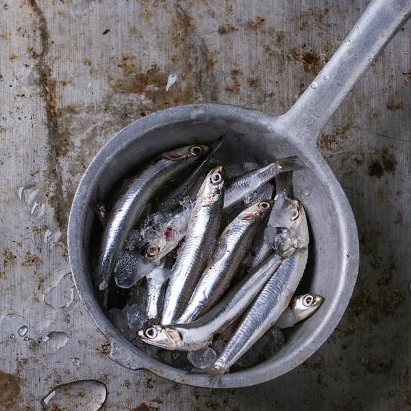 Anșoa proaspătă crud pești — Fotografie, imagine de stoc