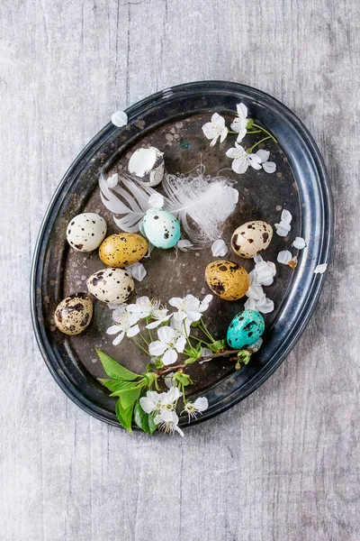 Ovos de codorna de Páscoa coloridos — Fotografia de Stock