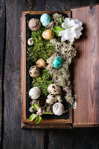 Renkli Paskalya bıldırcın yumurtası — Stok fotoğraf