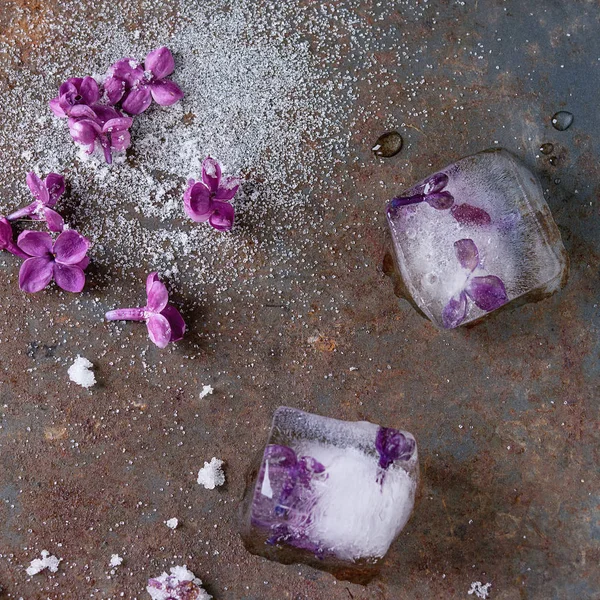 Cubi di ghiaccio con fiori lilla — Foto Stock