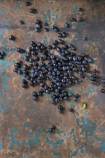 Heap of forest blueberries — Stock Photo, Image