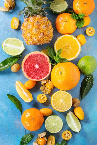 Odrůda citrusových plodů — Stock fotografie
