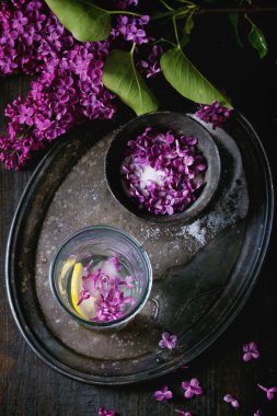 Şeker leylak çiçeği.