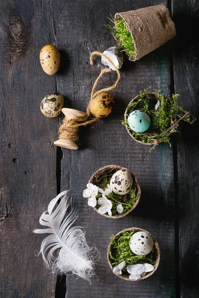 Ouă colorate de prepeliță de Paște — Fotografie, imagine de stoc